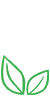 ֤